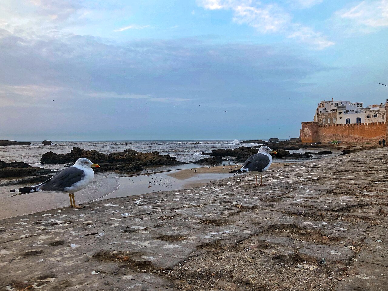 Essaouira Ramparts (Skala de la Ville / Skala du Port)