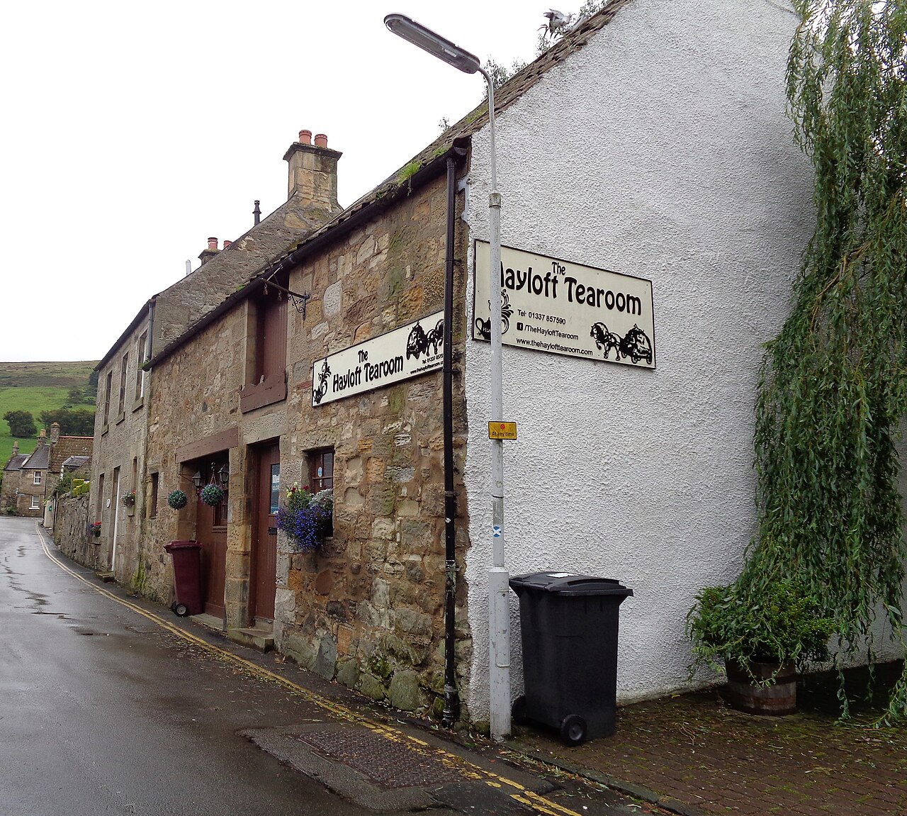 Falkland