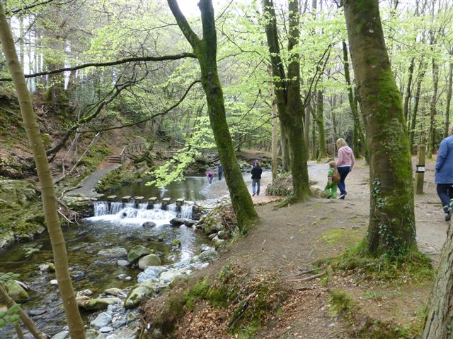Tollymore Forest Park
